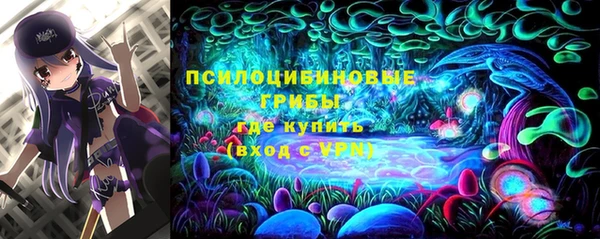 винт Касимов