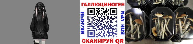 Псилоцибиновые грибы MAGIC MUSHROOMS  Купить  Белоусово 